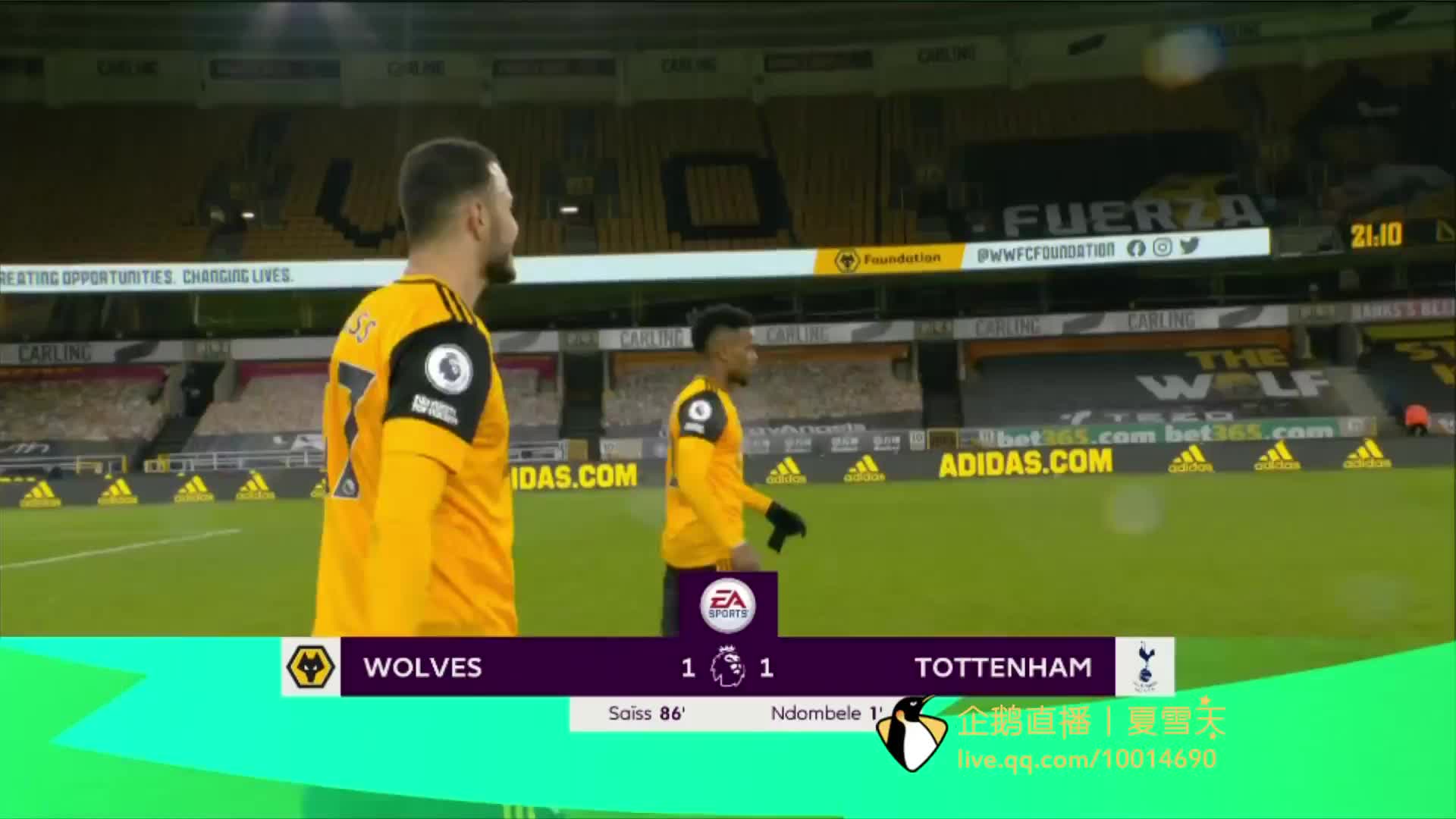 作为中国羽 作为中国羽